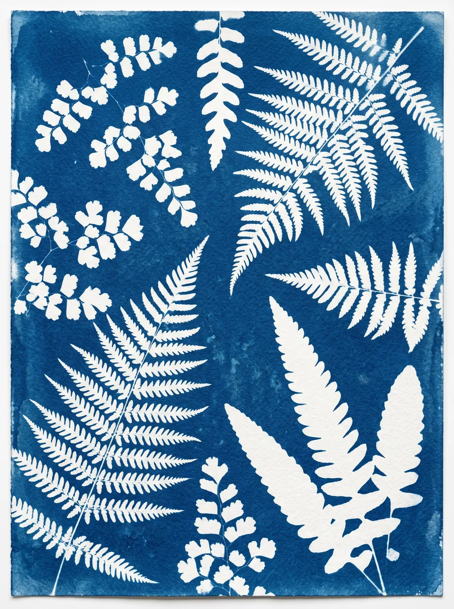 Elin Marklund, Bosque en cianotipia